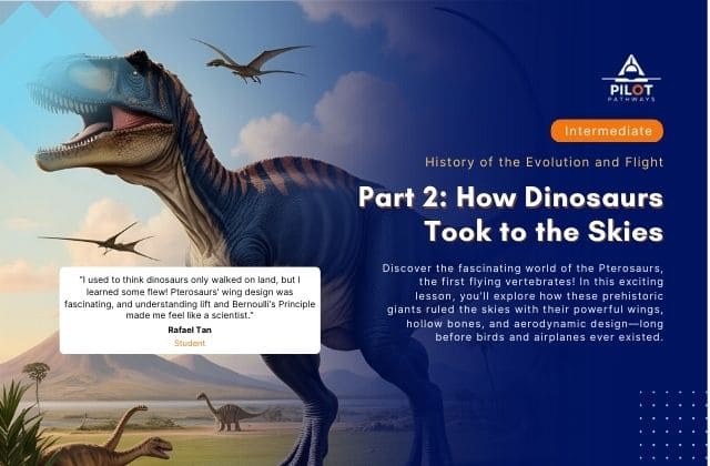 Part 2: How Dinosaurs Took to the Skies